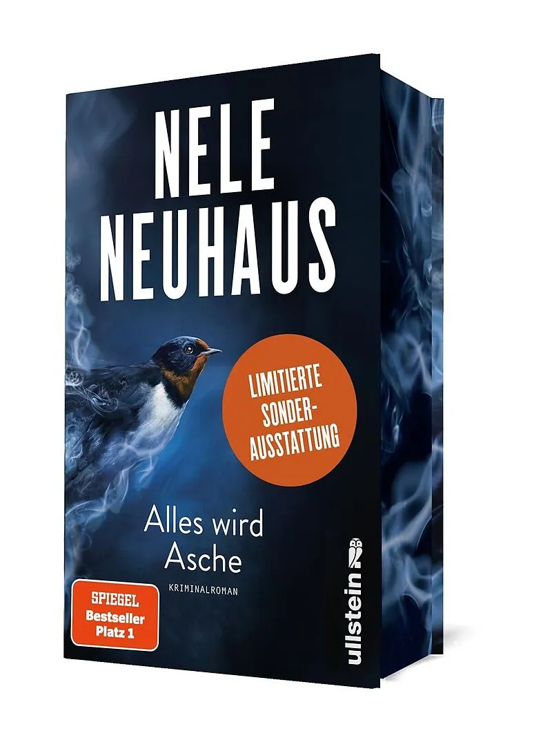 Alles wird Asche (Ein Bodenstein-Kirchhoff-Krimi 12)